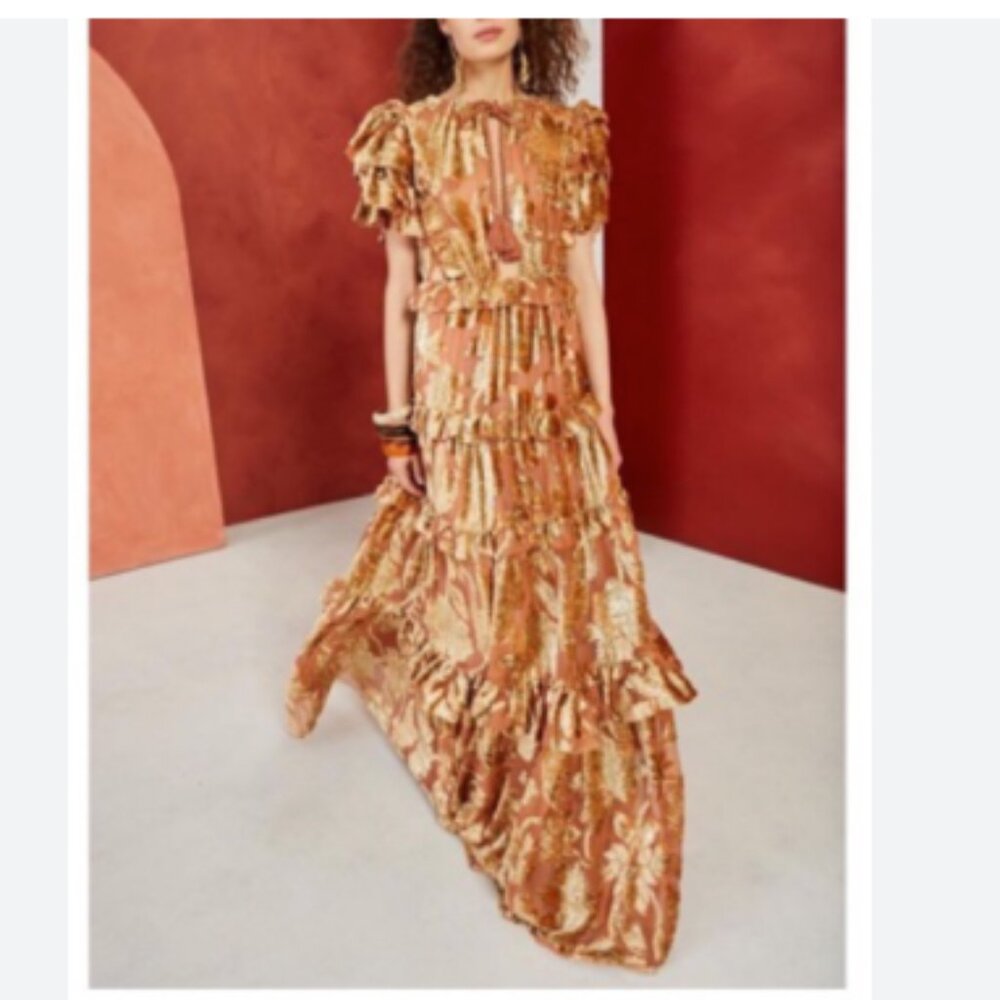 Ulla Johnson Runway Antonia Gown - 4